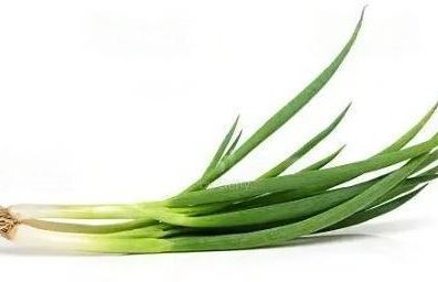 Cebolinha Orgânica - molho