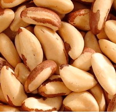 Castanha do Pará 500g