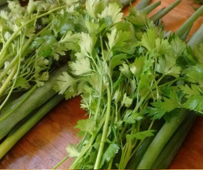 Cheiro Verde Orgânico - molho