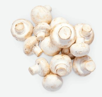 Cogumelo Paris 1Kg