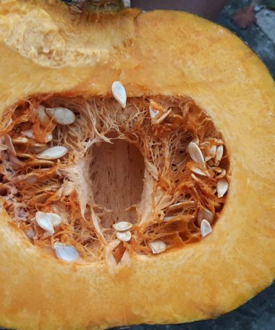 Abóbora Orgânica - pedaço 500g
